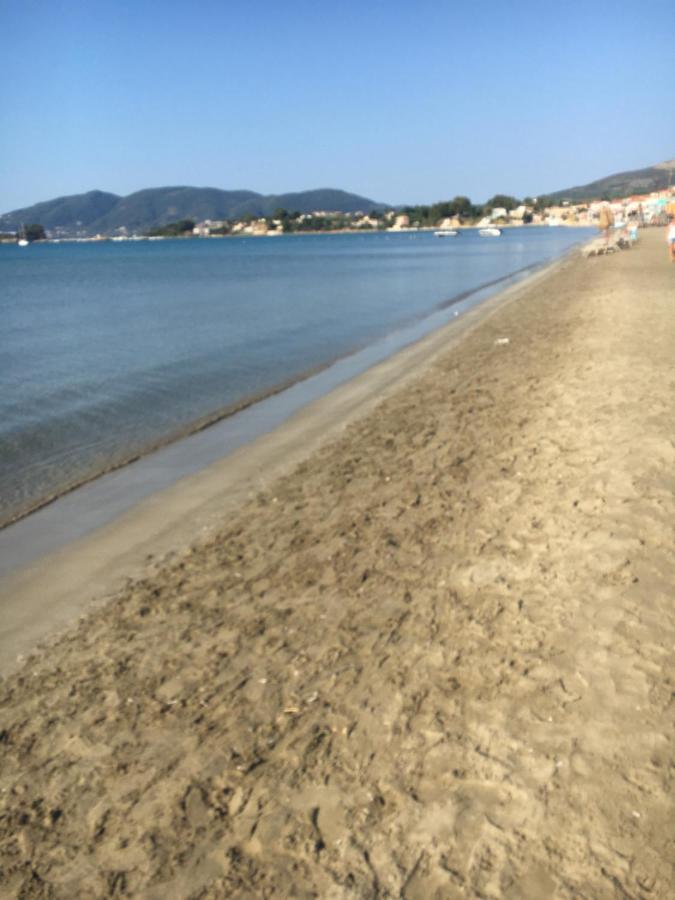 Joy Apartments Zakynthos Laganas Zewnętrze zdjęcie